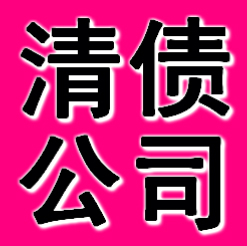 阜新清债公司